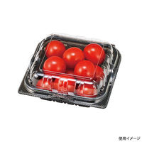 エフピコチューパ フルーツ容器 YTR100.4H BLW CP007566 1ケース(1500個(100個×15)（直送品）