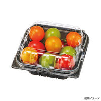 エフピコチューパ フルーツ容器 YTR150.4H BLW CP007568 1ケース(1500個(100個×15)（直送品）