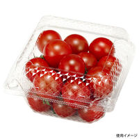 エフピコチューパ フルーツ容器 ペコペット10-10(62) CP007600 1ケース(1500個(100個×15)（直送品）