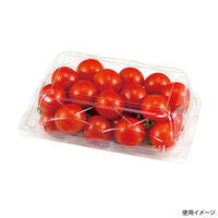 エフピコチューパ フルーツ容器 エコ GPR-SS.6H CP007614 1ケース(800個(50個×16)（直送品）