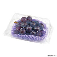 エフピコチューパ フルーツ容器 エコ GPR-M.6H CP007616 1ケース(600個(50個×12)（直送品）