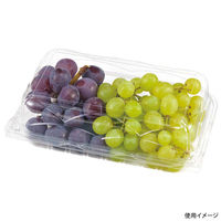 エフピコチューパ フルーツ容器 エコ GPR-L.6H CP007617 1ケース(300個(50個×6)（直送品）