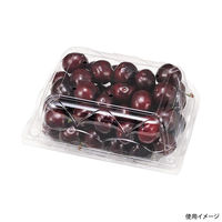 エフピコチューパ フルーツ容器 NZW17-13(68)AP.6H 小 CP007621 1ケース(600個(50個×（直送品）