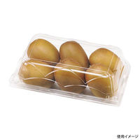 エフピコチューパ フルーツ容器 NZW21-13(68)AP.6H 中 CP007622 1ケース(400個(50個×（直送品）