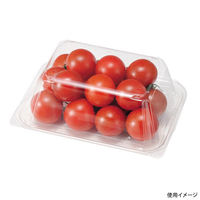 エフピコチューパ フルーツ容器 CFR250-AP.9H CP007629 1ケース(400個(100個×4)（直送品）