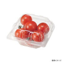 エフピコチューパ フルーツ容器 YT-140.4H CP007631 1ケース(1500個(100個×15)（直送品）