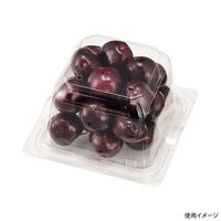 エフピコチューパ フルーツ容器 エコ VF-APダイス110角D 本体.4H CP007652 1ケース(1000個(50個×20)（直送品）