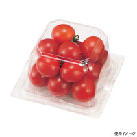 エフピコチューパ フルーツ容器 エコ VF-APダイス120角D 本体.4H CP007654 1ケース(800個(50個×16)（直送品）