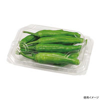 エフピコチューパ フルーツ容器 エコ MT-100AP CP007659 1ケース(1200個(50個×24)（直送品）