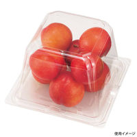 エフピコチューパ フルーツ容器 エコ VF-APダイス150角D 本体.4H CP007656 1ケース(600個(50個×12)（直送品）