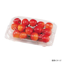 エフピコチューパ フルーツ容器 エコ MT-120AP CP007660 1ケース(1200個(50個×24)（直送品）