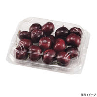 エフピコチューパ フルーツ容器 エコ MT-150AP CP007661 1ケース(900個(50個×18)（直送品）