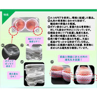 エフピコチューパ フルーツ容器 ペコペットフルーツ4L-2 CP007664 1ケース(400個(50個×8)（直送品）