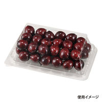 エフピコチューパ フルーツ容器 APロイヤル12-19R(50) 6H 003 1ケース(500個(50個×（直送品）