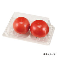 エフピコチューパ フルーツ容器 APロイヤル11-18R(57) 6H 004 1ケース(500個(50個×（直送品）