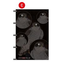 フラッグ・タナカ タカの目ギョロリ(カラス被害防止の旗) C 1枚（直送品）
