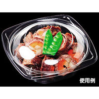 エフピコ 冷麺容器 APデリ-120-160 本体 7R031220 1ケース(2000個(50個×40)（直送品）