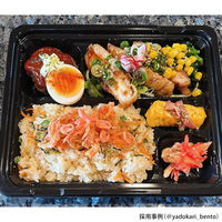 エフピコ 弁当容器 MSD箱弁24-20-2 本体 黒 7E162402 1袋(50個)（直送品）