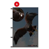 フラッグ・タナカ タカの目ギョロリ(カラス被害防止の旗) A 1枚（直送品）