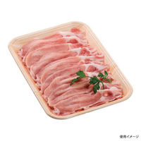 エフピコ 発泡トレー OKV-20-28 エコ日光 3A412028 1ケース(900個(100個×9)（直送品）