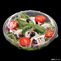 エフピコ 冷麺容器 APサラダ-20(V) 本体 7R010020 1袋(50個)（直送品）