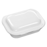 エフピコ 軽食容器 DLVボーノ19-15 白 40020741 1ケース(270個(30個×9)（直送品）