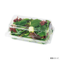 エフピコチューパ フルーツ容器 GPR-L(深).6H CP007289 1袋(50個)（直送品）