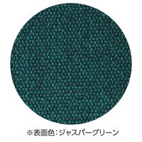 日本緑十字社 掲示板 壁掛け用防炎タイプ MKー9012G 900×1200mm 327240 1台（直送品）
