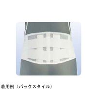 アシスト スーパーAZ 4L 07038 1本 68-4058-47（直送品）