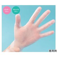 日昭産業 ハンドケアグローブ LL 1セット(100枚×10箱入) 19164 1セット(1000枚) 67-6645-24（直送品）