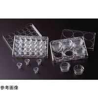 パーミアブル セルカルチャーインサート(6ウェル用、PET、メンブレンサイズ 3.0μm) 滅菌 12個入 230609 1箱(12個)（直送品）