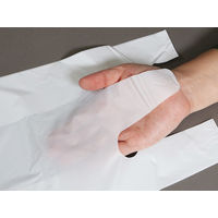 ゴミ袋 消臭袋 ニオワイナ とって付き 白半透明 Sサイズ 7L 30枚入 1パック 0.018mm 日本サニパック