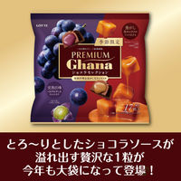 プレミアムガーナ ショコラセレクション 1袋 ロッテ チョコレート お菓子