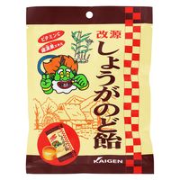 改源しょうがのど飴 73g 1セット（1袋×6） カイゲンファーマ食品 のど飴 あめ キャンディー