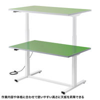 サンワサプライ 電動昇降作業台 幅1200×奥行750×高さ634～1284mm グリーン ERD-WDKP12075G 1台（直送品）