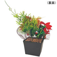 アルファ プレゼントクリスマスポット TE5-1360 1ヶ（直送品）