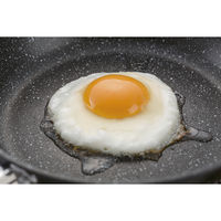 貝印 軽い フライパン 20cm IH・ガス火対応 000DW5628 1個