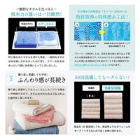 浅野撚糸 エアーかおる ダディーボーイ バスタオル 60×120 ふんわり 速乾 マウンテンブルー 6300060053 1枚（直送品）