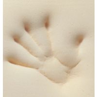 テンピュール・シーリー・ジャパン マルマルクッション 北欧 丸形 低反発 椅子 座布団 長時間 疲れない 12001M 1個（直送品）