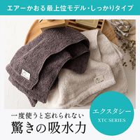 浅野撚糸 エアーかおる エクスタシー ウォッシュタオル 34×40 ふんわり 速乾 グルー 6300060062 1枚（直送品）