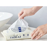 三昭紙業 TAOLAZフェイシャルペーパー 60枚 TOLZ-60 1箱(40個入)（直送品）