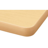 【軒先渡し】ニシキ工業 昇降式園児用テーブル 幅1200×奥行600×高さ300・330・360mm　 AESF-1260-VPL 1台（直送品）