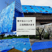 今村紙工 ブルーシート大判 中厚手#2000 10m×15m BS-1015 1箱(1枚入)（直送品）