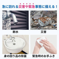 10年保存できる防災用ウェットティッシュ 10個 衛生用品 長期保存 ノンアルコール 無香料 防災グッズ 災害 清掃（直送品）