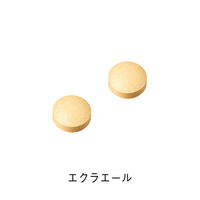 ORBIS（オルビス）エクラエール 30日分（331mg×60粒）