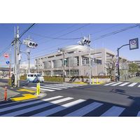 積水 40km/h衝突対応 車両進入防止車止めプロテクトボラードBSKー8メタリックグレー(コンクリート基礎式) BSK-8K-M80-WW（直送品）