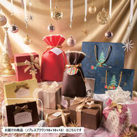 【軒先渡し】ストア・エキスプレス　手提げ紙袋 ノブレス ブラウン　S 18×10×13cm　36005-246　1セット(100枚)（直送品）