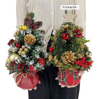 【軒先渡し】ストア・エキスプレス　卓上デコレーションクリスマスツリー　アップル＆スター　8730-6004　1個（直送品）