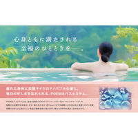 ポエマ 炭酸マイクロナノバブルバス EIB-IPL13-BATH 1式（直送品）