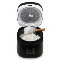 ダイアモンドヘッド 多機能4合炊飯器 ブラック RM-218TE-BK 1台（直送品）